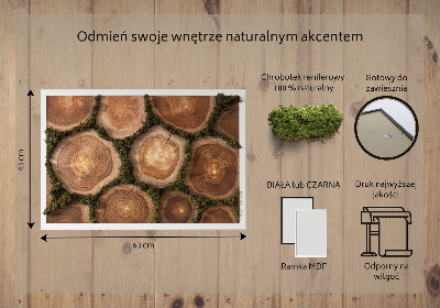 Obraz mech Przekrój pnia