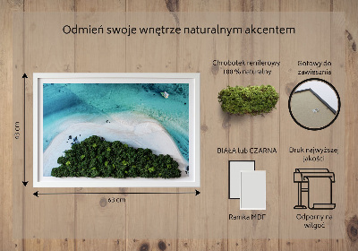 Obraz z mchu Lazurowa plaża