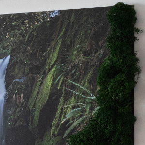 Obraz mech Wodospad otoczony drzewami