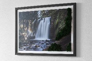 Obraz mech Wodospad otoczony drzewami