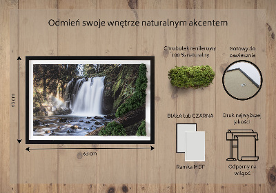 Obraz mech Wodospad otoczony drzewami