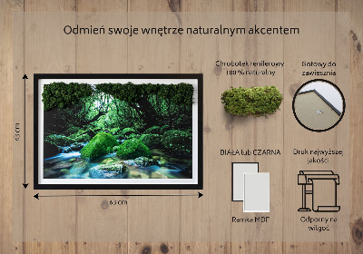 Obraz z mchu Rzeka w środku lasu