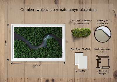 Obraz z mchu Rzeka w puszczy