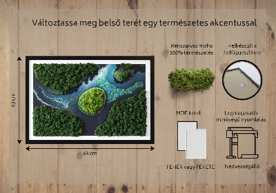 Mech chrobotek obraz Wyspa na rozlewisku