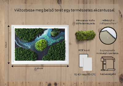 Mech chrobotek obraz Wyspa na rozlewisku