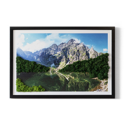 Obraz z mchem Tatry - Morskie oko