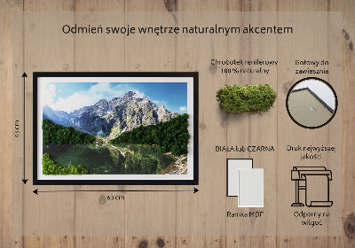 Obraz z mchem Tatry - Morskie oko