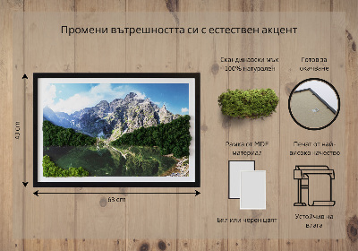 Obraz z mchem Tatry - Morskie oko