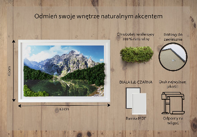 Obraz z mchem Tatry - Morskie oko