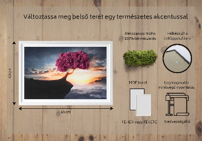 Obraz z mchem Drzewo nad przepaścią
