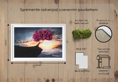 Obraz z mchem Drzewo nad przepaścią