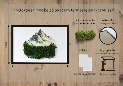 Obraz z mchem Szczyt góry nad lasem
