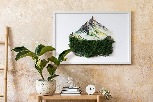 Obraz z mchem Szczyt góry nad lasem