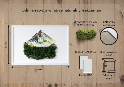 Obraz z mchem Szczyt góry nad lasem