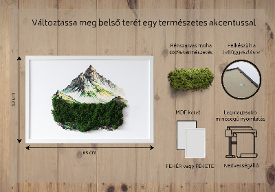 Obraz z mchem Szczyt góry nad lasem