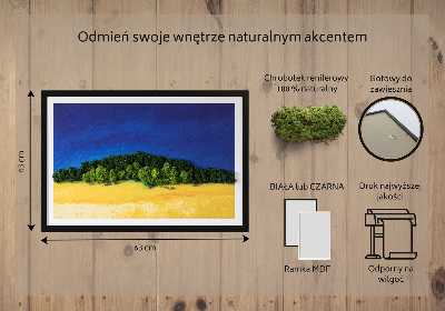 Obraz z mchu Krajobraz niebiesko żółty