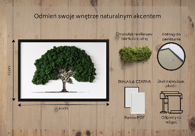 Obraz z mchu Drzewo na białym tle