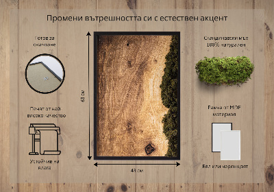 Obraz mech Dębowa deska naturalna