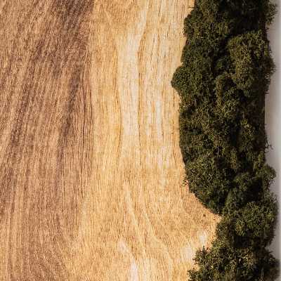 Obraz mech Dębowa deska naturalna