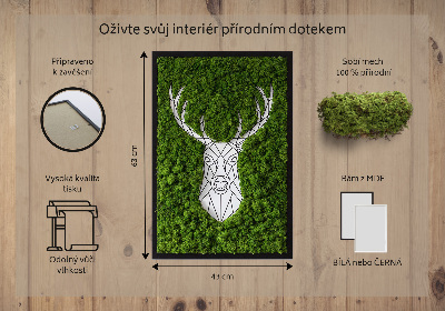 Obraz z mchu Geometryczny jeleń