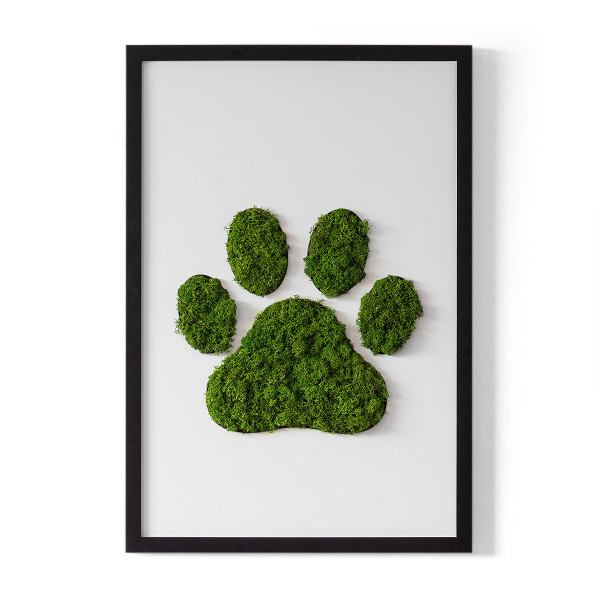 Obraz z motywem mchu z odciskiem łapy