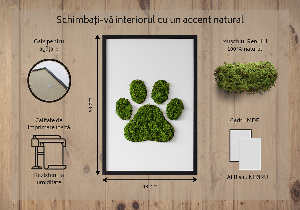 Obraz z motywem mchu z odciskiem łapy