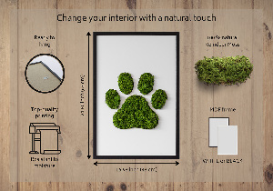 Obraz z motywem mchu z odciskiem łapy