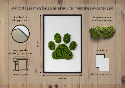 Obraz z motywem mchu z odciskiem łapy