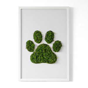 Obraz z motywem mchu z odciskiem łapy