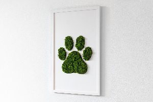 Obraz z motywem mchu z odciskiem łapy