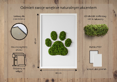 Obraz z motywem mchu z odciskiem łapy