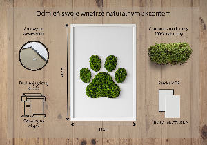 Obraz z motywem mchu z odciskiem łapy