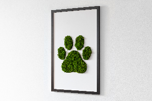 Obraz z motywem mchu z odciskiem łapy