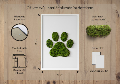 Obraz z motywem mchu z odciskiem łapy