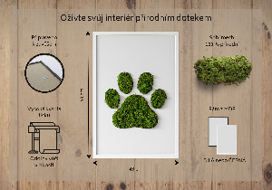 Obraz z motywem mchu z odciskiem łapy