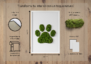 Obraz z motywem mchu z odciskiem łapy