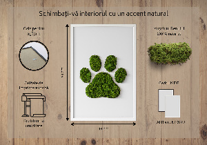 Obraz z motywem mchu z odciskiem łapy