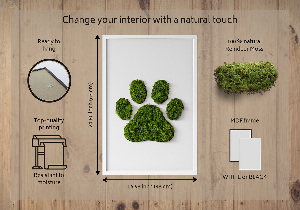 Obraz z motywem mchu z odciskiem łapy