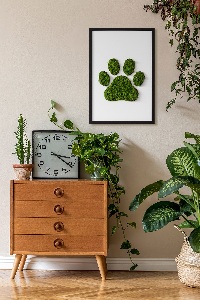 Obraz z motywem mchu z odciskiem łapy