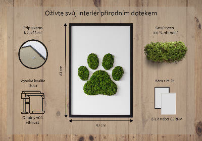 Obraz z motywem mchu z odciskiem łapy