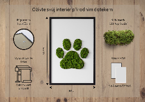 Obraz z motywem mchu z odciskiem łapy