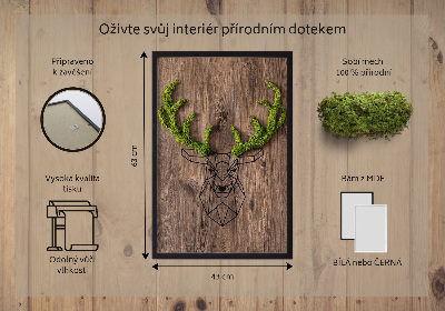 Obraz z mchem Głowa jelenia na drewnianym tle