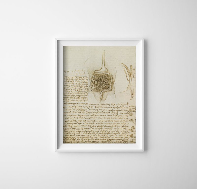 Plakat retro do salonu Da Vinci Przewód żołądkowo-jelitowy i pęcherz