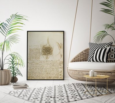 Plakat retro do salonu Da Vinci Przewód żołądkowo-jelitowy i pęcherz