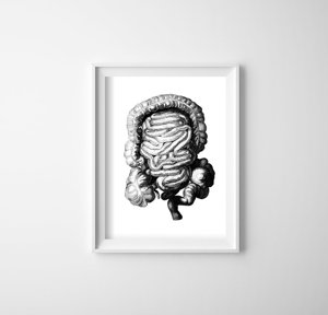Plakat retro Anatomiczny odcisk jelita grubego