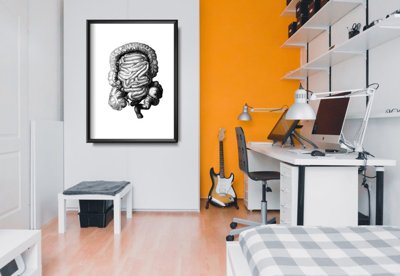 Plakat retro Anatomiczny odcisk jelita grubego