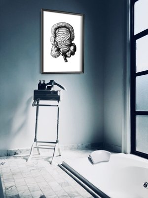 Plakat retro Anatomiczny odcisk jelita grubego