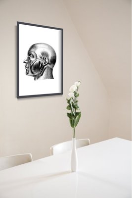 Plakat w stylu retro Anatomiczne odciski Mięśnie głowy