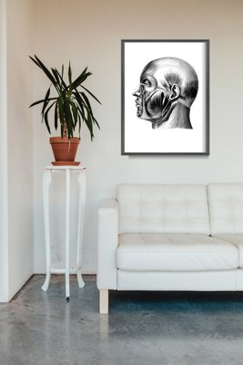 Plakat w stylu retro Anatomiczne odciski Mięśnie głowy