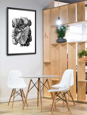 Plakat retro do salonu Anatomiczne odbitki ludzkich mięśni
